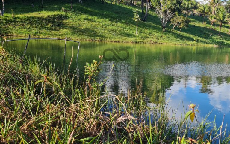 xr:d:DAFuXCpeKSY:458,j:3718142349606660339,t:24030620