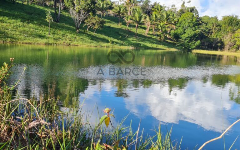 xr:d:DAFuXCpeKSY:458,j:3718142349606660339,t:24030620