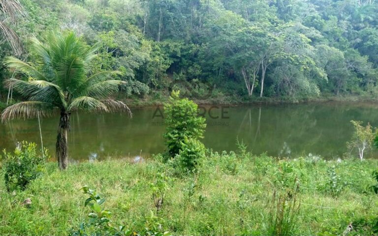 xr:d:DAFuXCpeKSY:458,j:3718142349606660339,t:24030620