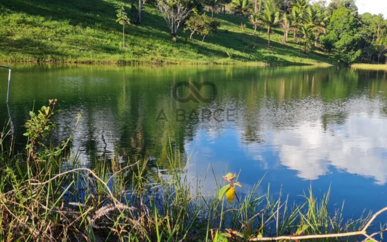 xr:d:DAFuXCpeKSY:458,j:3718142349606660339,t:24030620