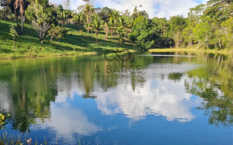 xr:d:DAFuXCpeKSY:458,j:3718142349606660339,t:24030620